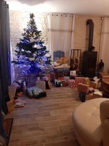 Maisons de vacances Grand gite 14 personnes Sud Vendee : photos des chambres