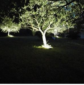 Oasi degli ulivi con piscina privata tra Versilia e Cinque Terre