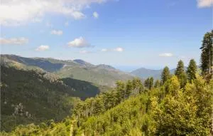 1 Bedroom Lovely Apartment In Ghisoni - Ghisoni