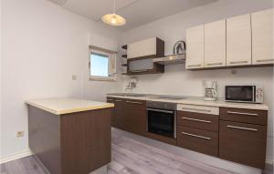 Cozy Home In Dolac With Kitchen 