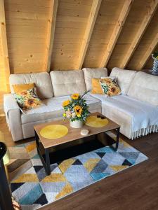 Sunflower House Radoinja