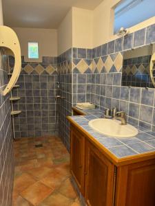 Appartements Gite 4 personnes dans Mas Provencal avec piscine et jardin : Appartement 2 Chambres