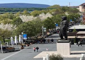 Štúdio Donald Eurovea