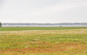 Lovely Apartment In Lütow With Kitchen