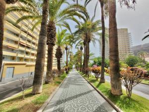 Alta Groundfloor Apartments