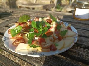 Chemin de résilience, séjours détente et nature