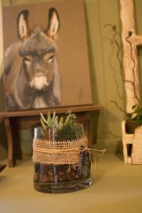 Maisons d'hotes La Haute Forge Maison d'Hotes : Appartement Supérieur