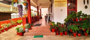 Holidayincoorg - Brick lane