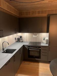 Helt ny leilighet ski in- ski out i Hemsedal