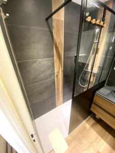 Appt Cosy au centre Chamonix