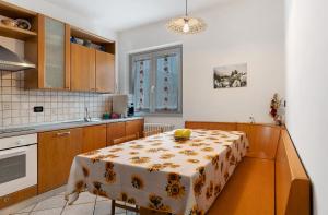 Ciclamino Superior Otto