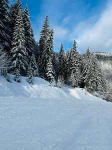 Chalets Chalet du Bonheur : photos des chambres