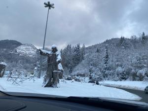Chalets Chalet du Bonheur : photos des chambres
