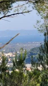 les Marronniers - Les Playes