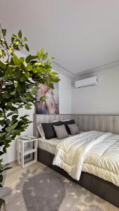 Frederica Luxury Apartments