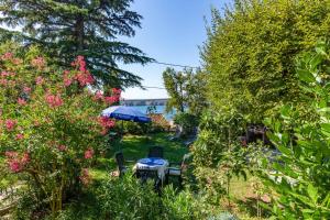 Apartments in Jadranovo 42065