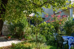 Apartments in Jadranovo 42065