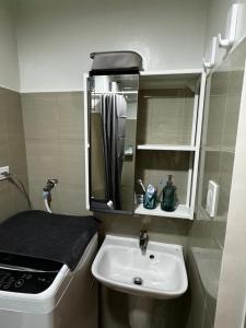 Evergreen suite- 1 bed 1 sofa bed, light sync TV