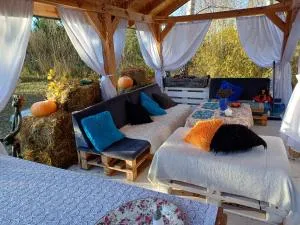 Domek w lesie - Nowiny