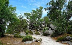 Appartements LE BOURBONCentre villeCharme : photos des chambres