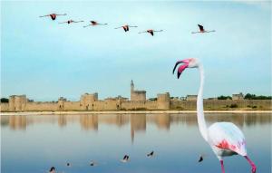 Maisons de vacances Lovely Home In Arles With Wifi : photos des chambres