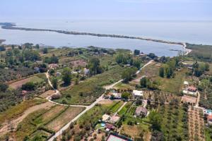 Maxim Wooden holiday