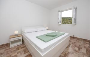 Cozy Apartment In Donji Vinjani 