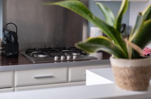 Appartements Le Terra Verde - Terrasse et Jardin : photos des chambres