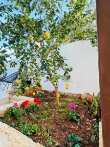 apartment close to beach and stJulians