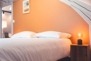 Appartements Le Nid dAigle - Spacieux logement sous les toits : photos des chambres