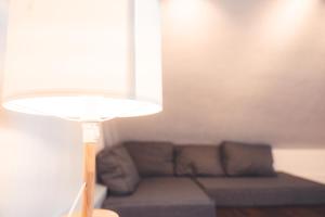 Appartements Le Nid dAigle - Spacieux logement sous les toits : photos des chambres