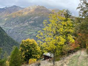 Chalet Bildji