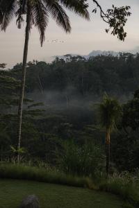 BELALU Bali Boutique & SPA experience