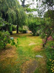 Appartements Coeur de ville, 3 chambres, 6 personnes : photos des chambres