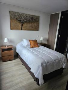 Depto Mirador del Fiordo