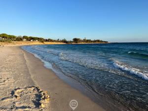 Sardinian Seaside Bliss img47