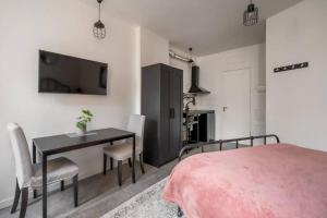 Bright studio apartment