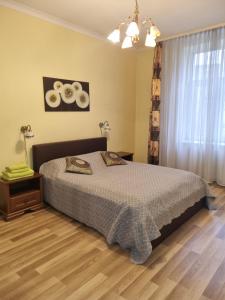Standard Studio Apartment room in Lāčplēša Central Apartments