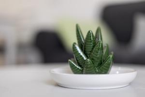 Home2Book Cozy Beachfront Getaway in Tarajalejo