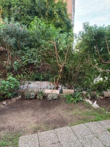 Maisons de vacances Appartamento con giardino a 50 m dal mare : photos des chambres