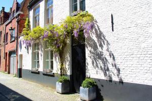 Guest Suite Hoorn 17 - room 1