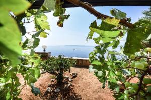 Apartments and Rooms Ref