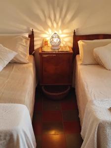 Casale MadeoMaria- Torre Guaceto-Carovigno-Tasting experience