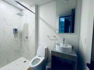 LEF 208 Zona Americana