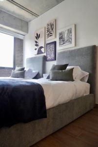 LEF 505 Zona Americana