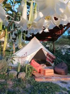 Pishku Wasi - Guayllabamba