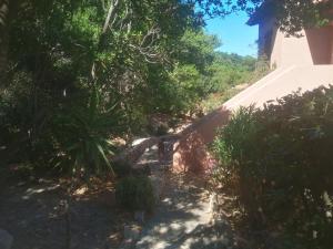 Villetta X 1 3 Susy img27