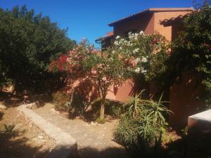 Villetta X 1 3 Susy img29