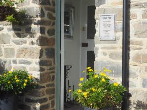 south view guest house