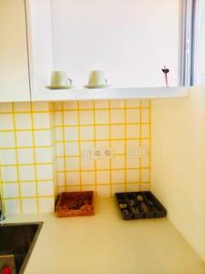 Cantinho da Palmeira III